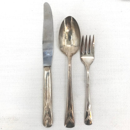 Oneida Stainless Flatware WHITTIER Spoon, Fork, Dinner Knives Set