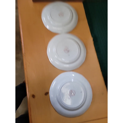 LOT OF3 Wedgwood Kashmar Bread and Butter Plate Red Brown Floral