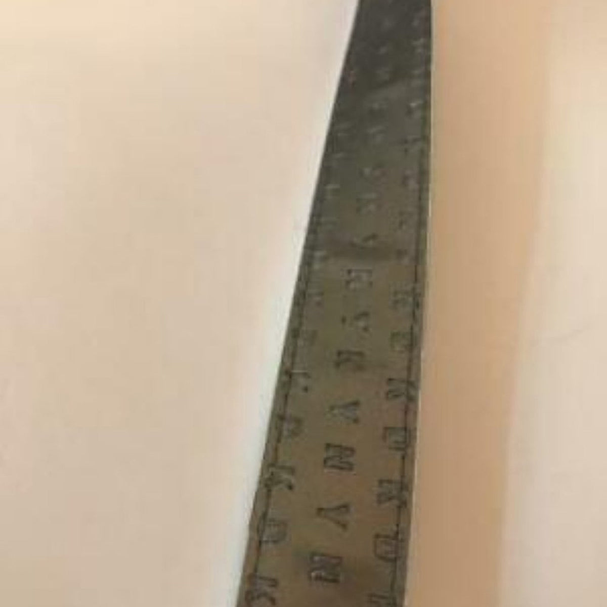 NWT DKNY Faux Snake Skin Print Adjustable Belt