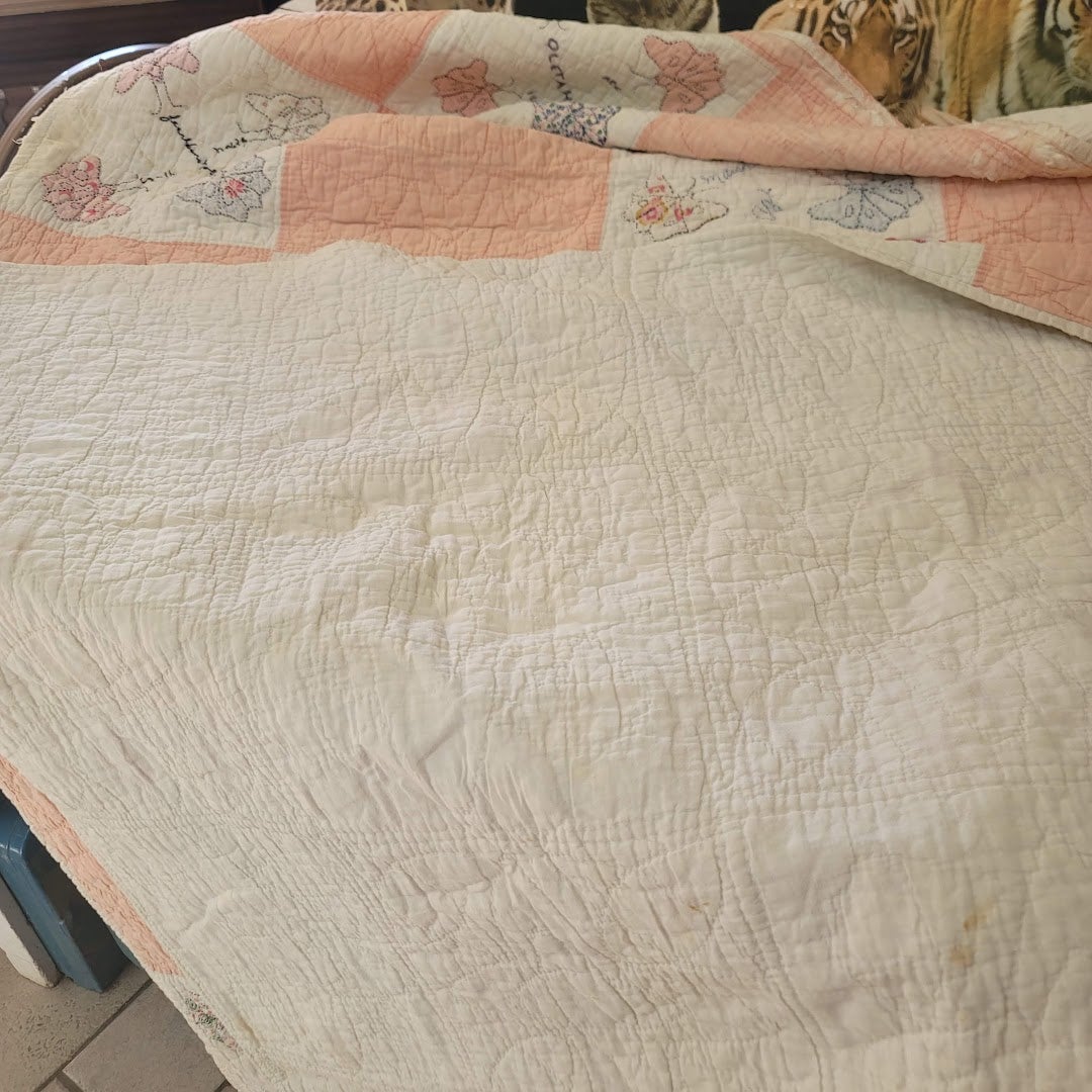 Handmade Pink White Quilt Full Queen Butterfly Stitched Names Community 80x66
