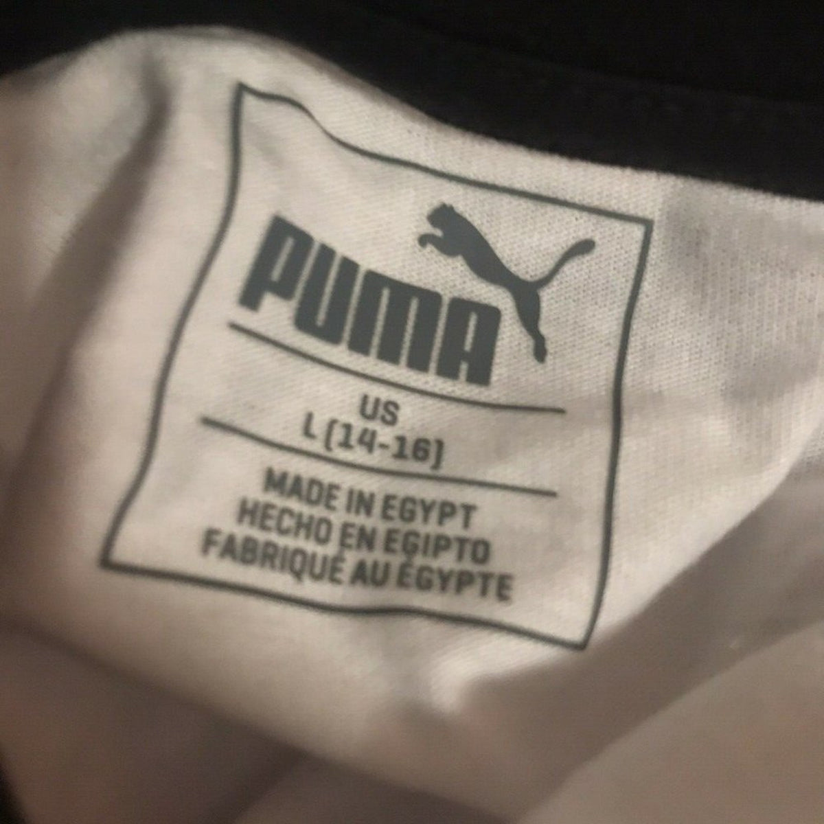 NWT Puma graphic Baseball Kids T-shirt Instincts Size Large