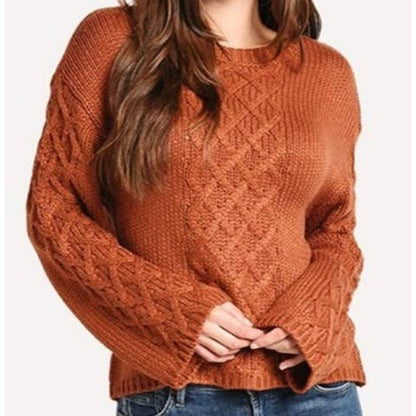 BB Dakota Retro Active Cable Knit Pullover Sweater Top Size Small in Rust NWT
