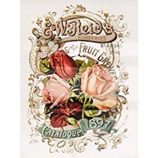 Re Design by Prima Transfer Sticker Wild Roses 11x15" Red Pink Floral